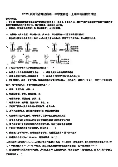 2025届河北省井陉县第一中学生物高一上期末调研模拟试题含解析