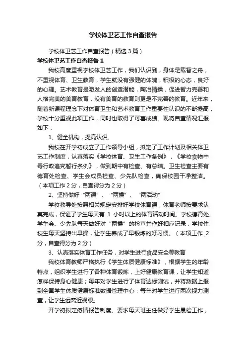 学校体卫艺工作自查报告