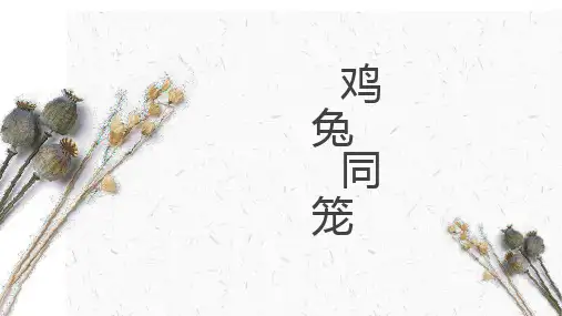 四年级奥数——鸡兔同笼课件