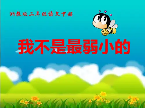 《我不是最弱小的》PPT课件十一