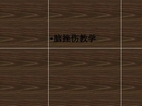 脑挫伤ppt课件