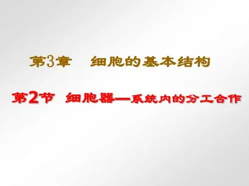 细胞器--系统内的分工合作