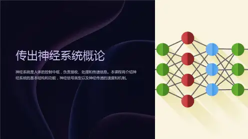 传出神经系统概论