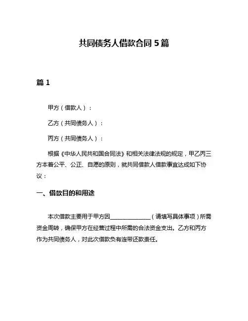共同债务人借款合同5篇