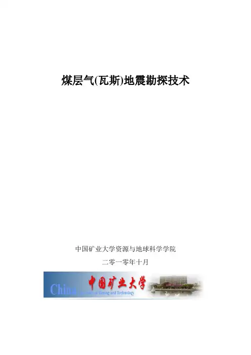 2.煤层气(瓦斯)地震勘探技术