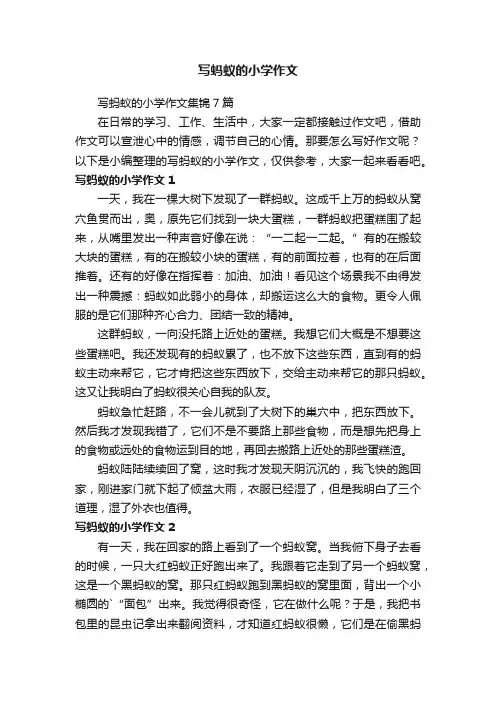 写蚂蚁的小学作文集锦7篇