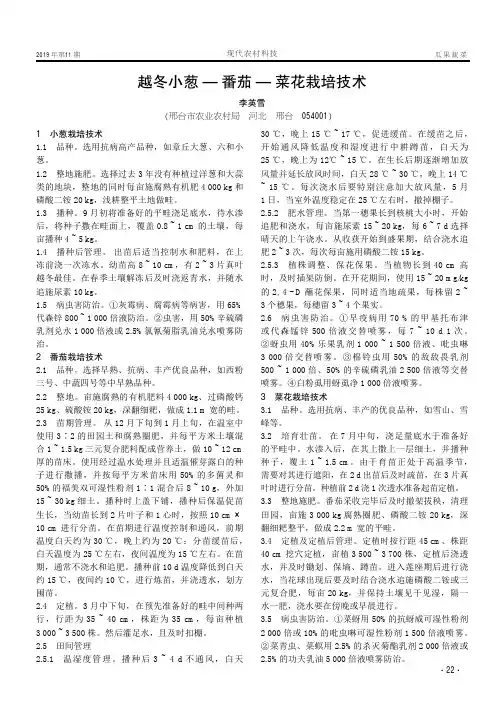 越冬小葱—番茄—菜花栽培技术