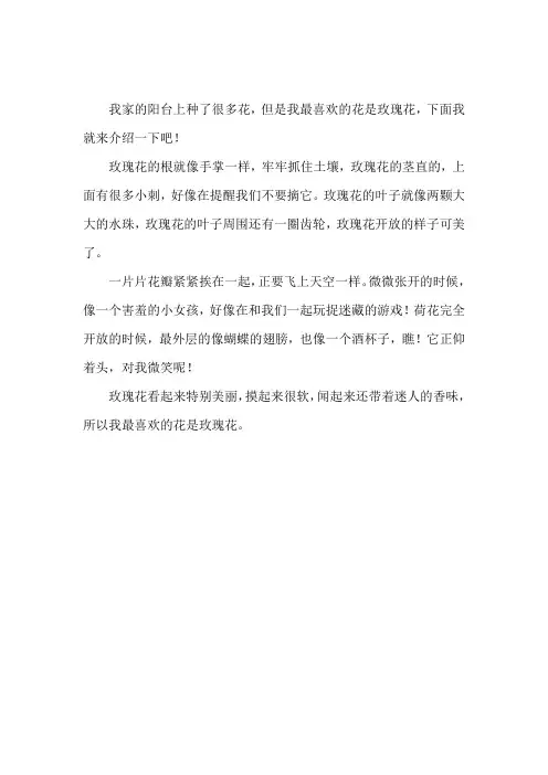 写玫瑰花的作文200字三年级