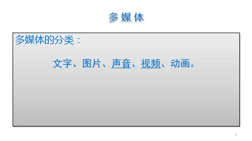 音视频处理