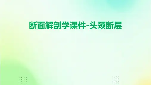 断面解剖学课件-头颈断层
