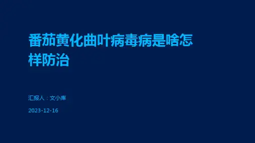 番茄黄化曲叶病毒病是啥怎样防治