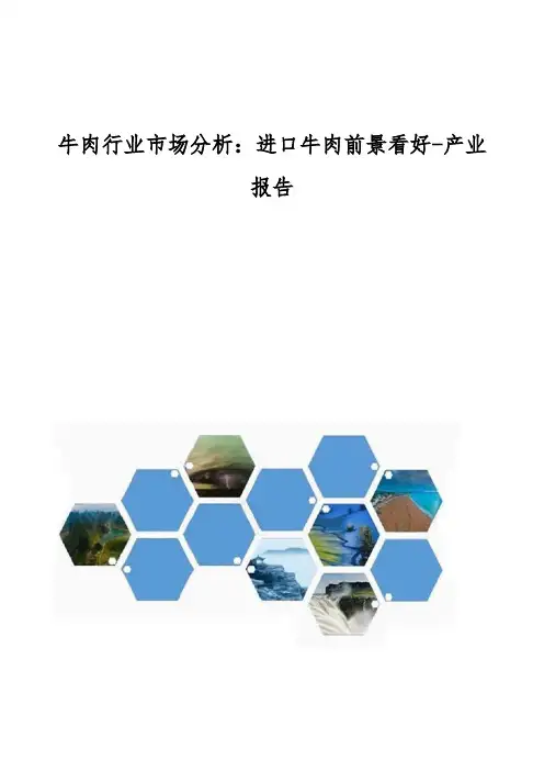 牛肉行业市场分析-进口牛肉前景看好-产业报告