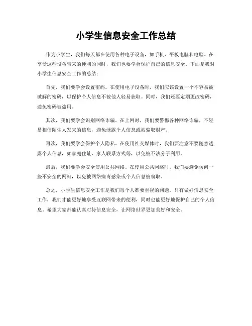 小学生信息安全工作总结
