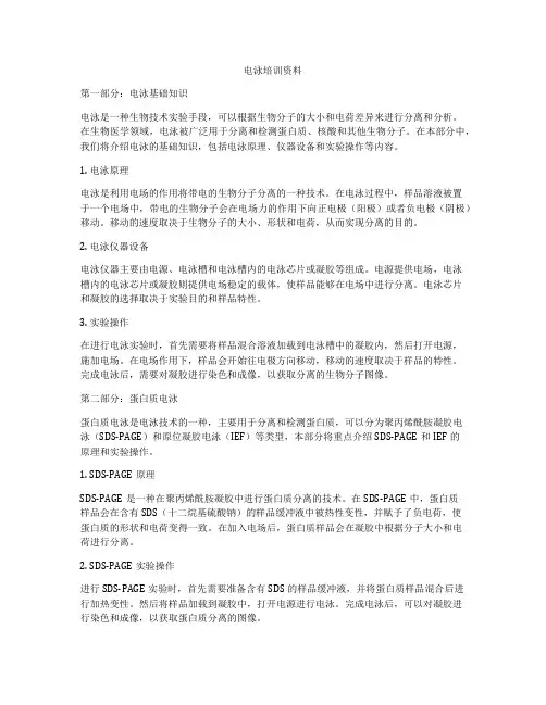 电泳培训资料