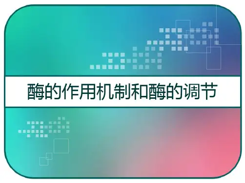 酶的作用机制和酶的调节 PPT