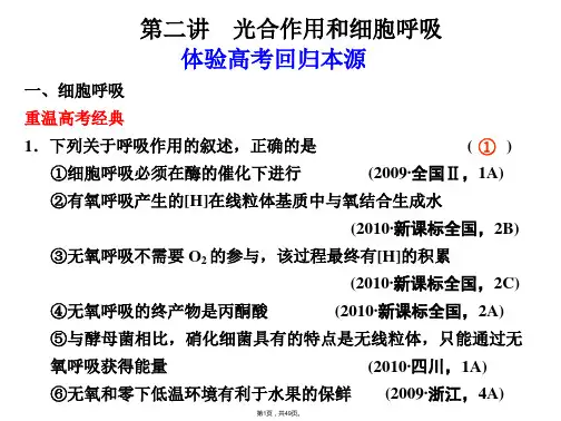 2014年高考生物二轮复习精品课件：专题二-细胞代谢2(49张ppt)