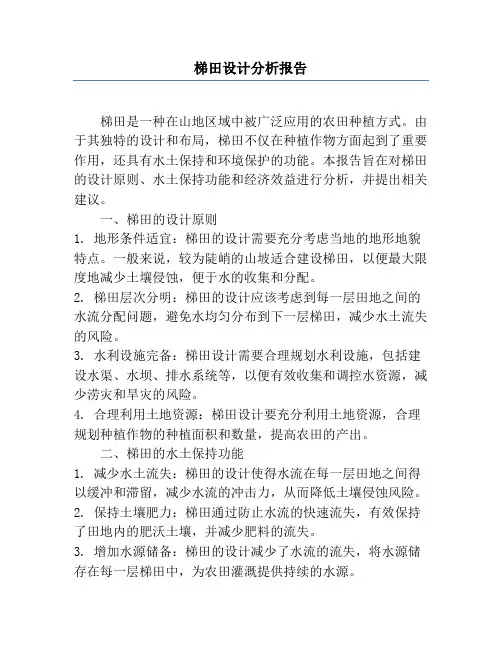 梯田设计分析报告