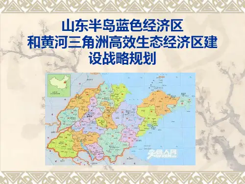 山东半岛蓝色经济区和黄河三角洲高效生态经济区建设战略规划