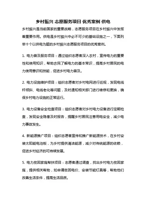 乡村振兴 志愿服务项目 优秀案例 供电