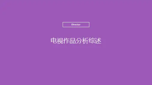 【编导课件】电视作品分析综述