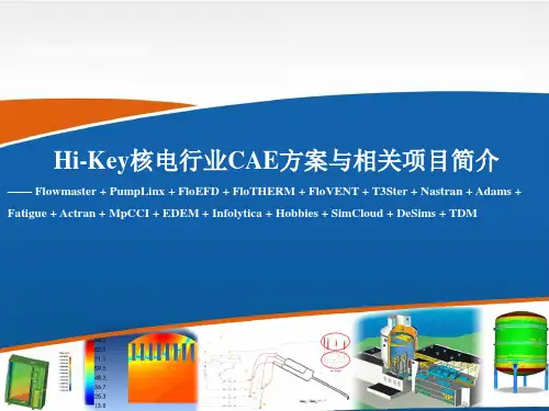 Hi-Key核电行业CAE方案与相关项目简介