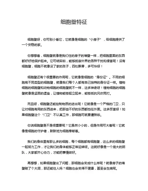 细胞壁特征