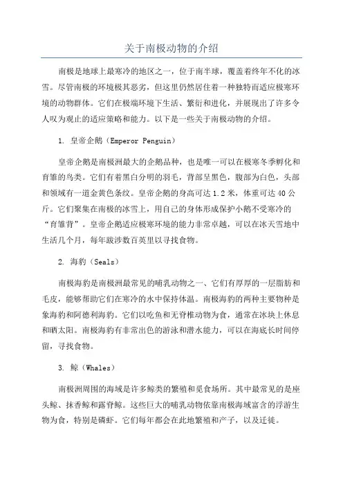 关于南极动物的介绍