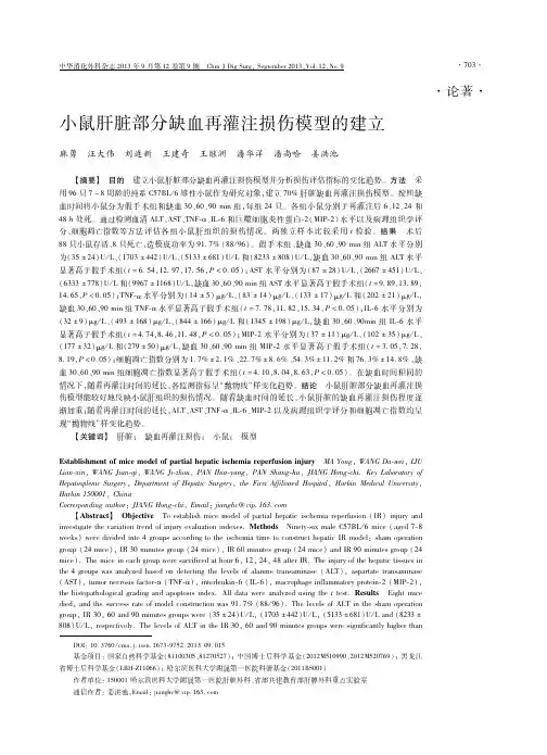 小鼠肝脏部分缺血再灌注损伤模型的建立