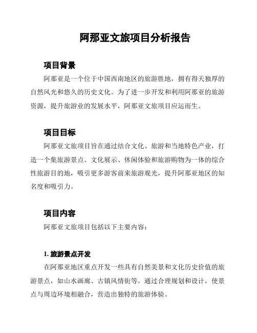 阿那亚文旅项目分析报告