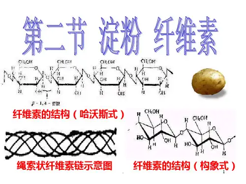 纤维素的结构(构象式)PPT课件