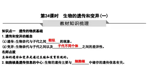 2022-2023生物中考一轮复习第24课时 生物的遗传和变异(一)(鲁教版)