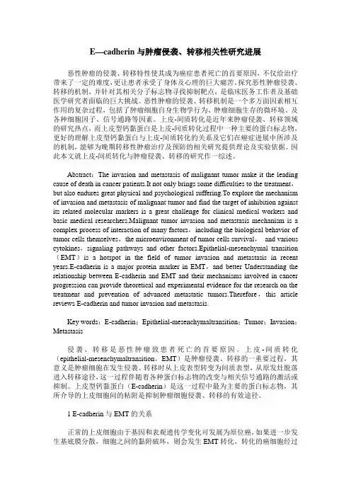E—cadherin与肿瘤侵袭、转移相关性研究进展
