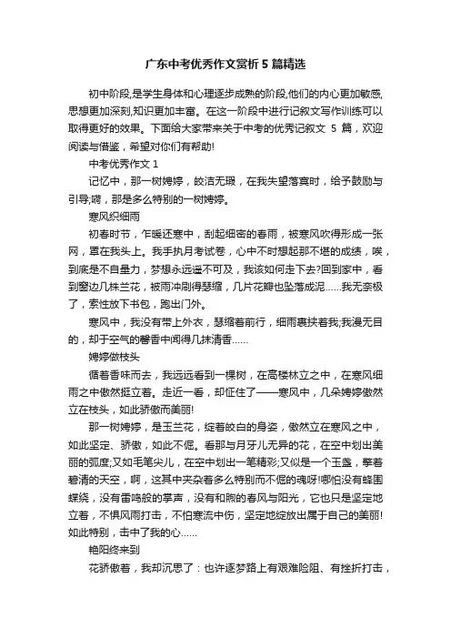 广东中考优秀作文赏析5篇精选
