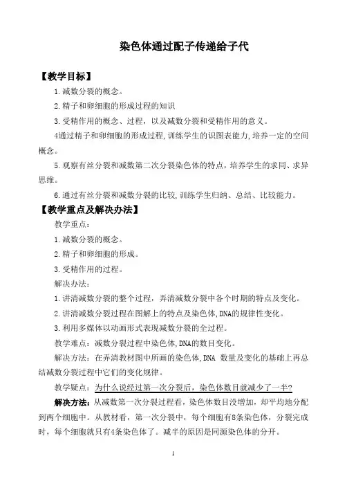 浙科版(2019)生物必修2：2.1 染色体通过配子传递给子代  教案