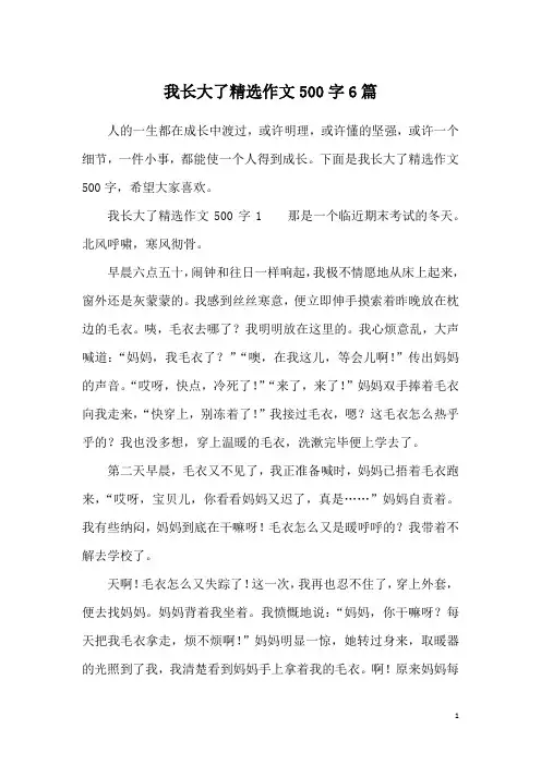我长大了精选作文500字6篇