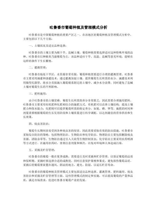 吐鲁番市葡萄种植及管理模式分析