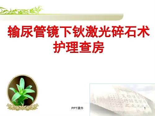 输尿管镜下钬激光碎石术 ppt课件