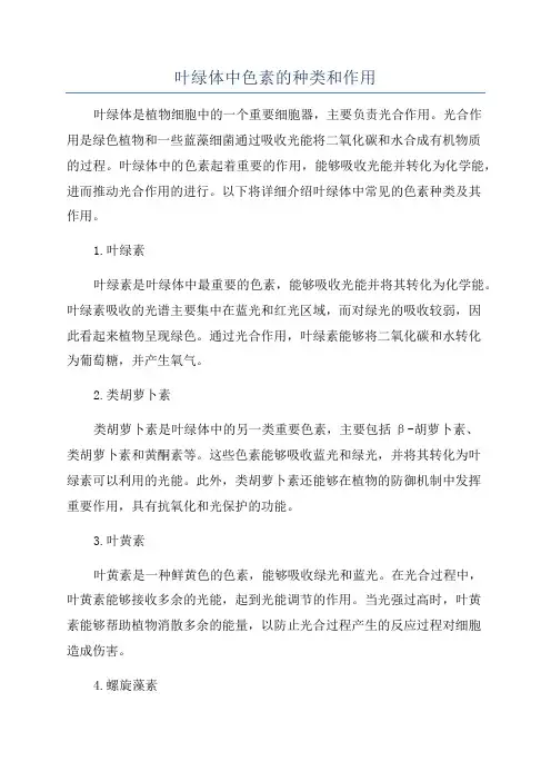 叶绿体中色素的种类和作用