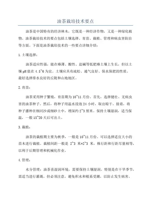 油茶栽培技术要点