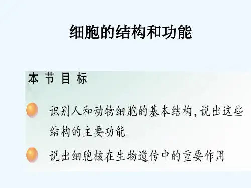 秋七年级生物上册《第一单元 第二章 第一节 细胞的结构和功能》课件1 济南版