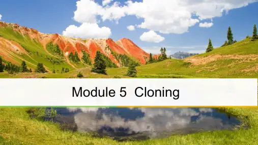 【最新】高中英语选修6外研版课件：Module5+Period+Two.ppt