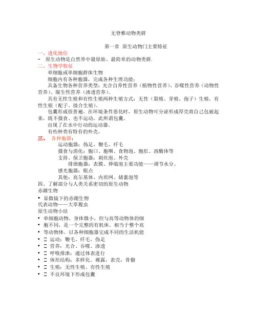无脊椎动物类群