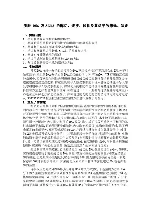 质粒DNA及λDNA的酶切分子生物学实验