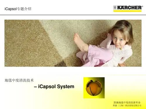 iCapsol中文介绍