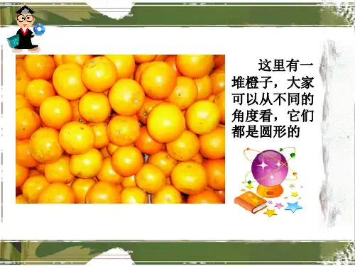 人教版三年级语文下册11画杨桃