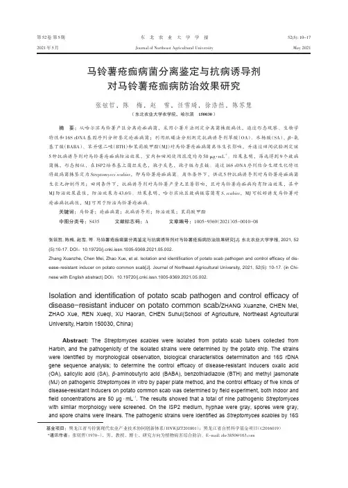 马铃薯疮痂病菌分离鉴定与抗病诱导剂对马铃薯疮痂病防治效果研究