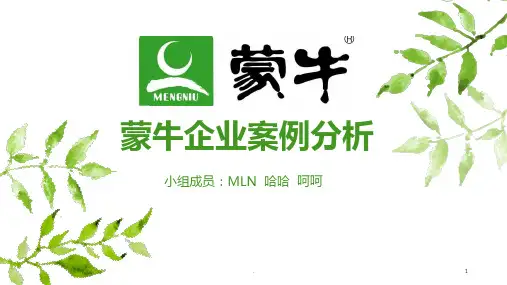 蒙牛企业管理案例分析PPT课件