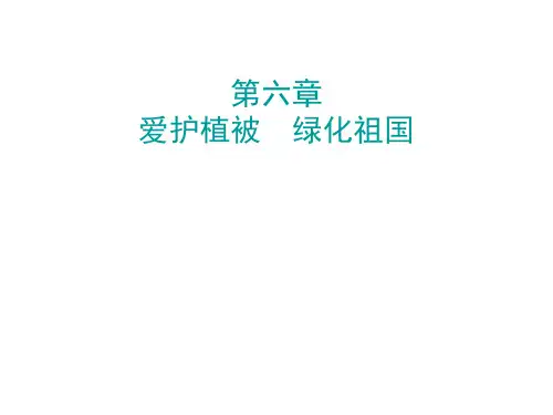 秋人教版七年级生物上册课件：第六章(共14张PPT)