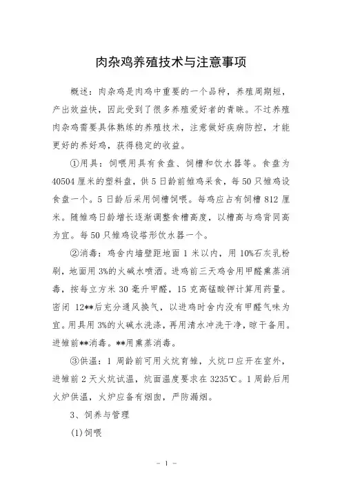 肉杂鸡养殖技术与注意事项