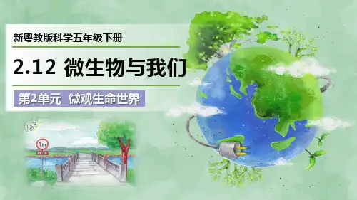 新粤教版科学五年级下册第2单元 微观生命世界《微生物与我们》优质课件